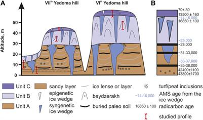 Reconstructing Permafrost Sedimentological Characteristics and Post-depositional Processes of the Yedoma Stratotype Duvanny Yar, Siberia